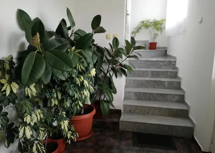 Tzonevi Guest house 3*